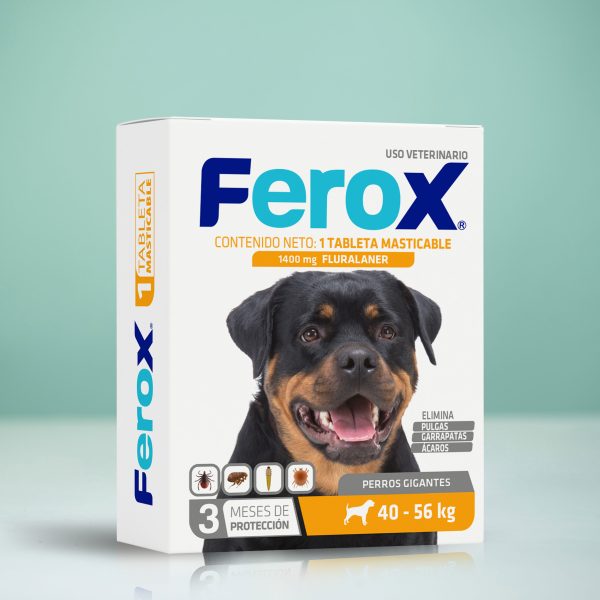 FEROX TABLETA - PARA 3 MESES - Imagen 2