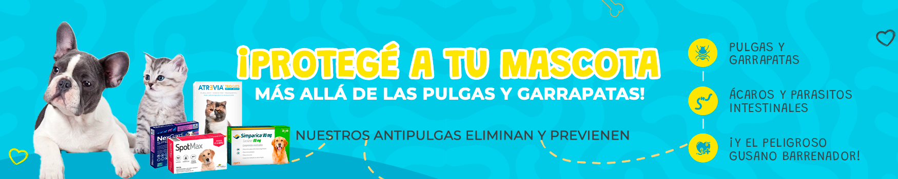 agosto1