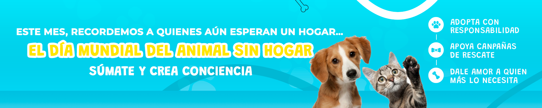 agosto3