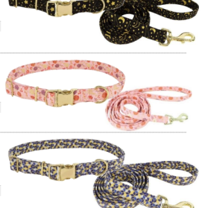 COLLAR Y TIRAPERRO ACCENT 5/8”