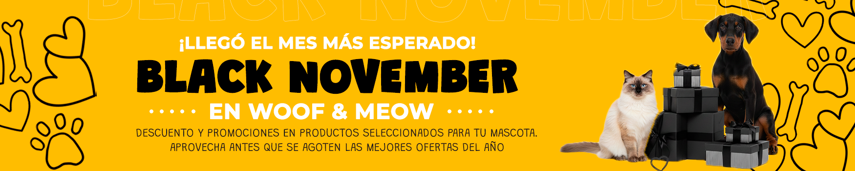 Noviembre1