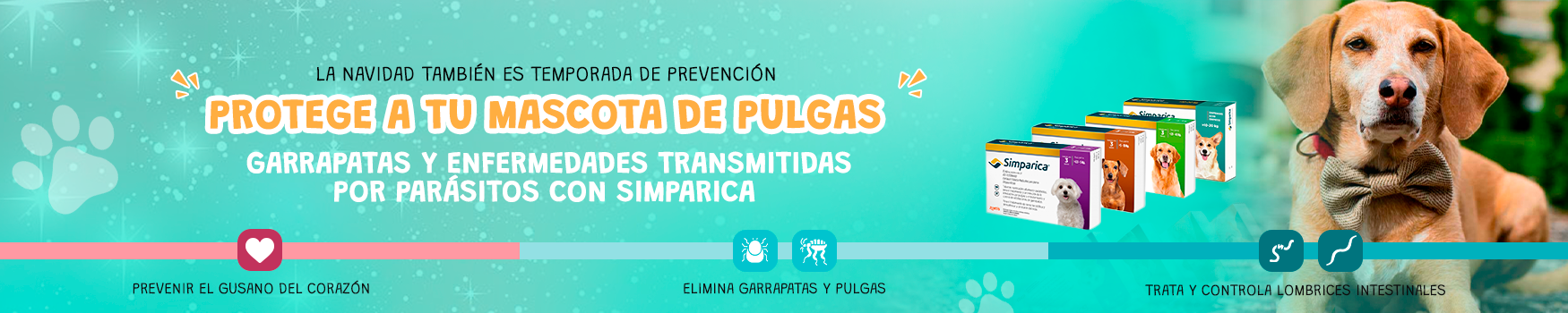 DiciembreMesa-de-trabajo-2