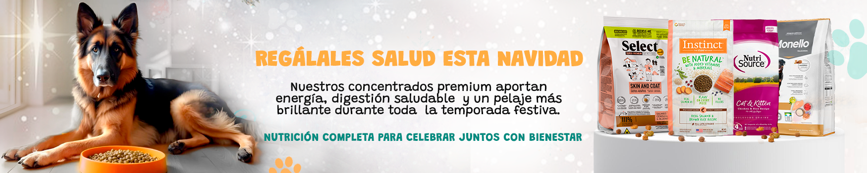 DiciembreMesa-de-trabajo-3