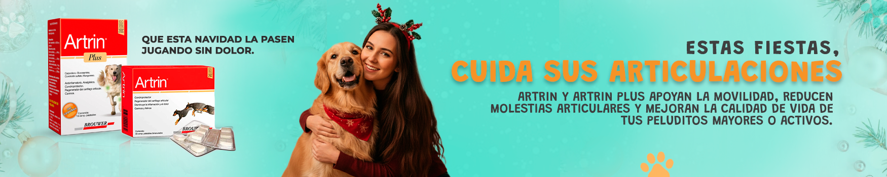 DiciembreMesa-de-trabajo-4