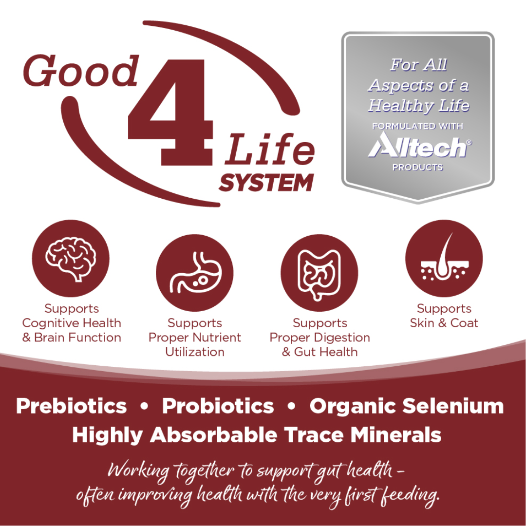 NUTRISOURCE PURE VITA BEEF & KALE DOG - Imagen 4