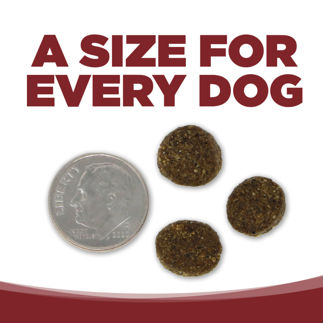 NUTRISOURCE PURE VITA BEEF & KALE DOG - Imagen 3