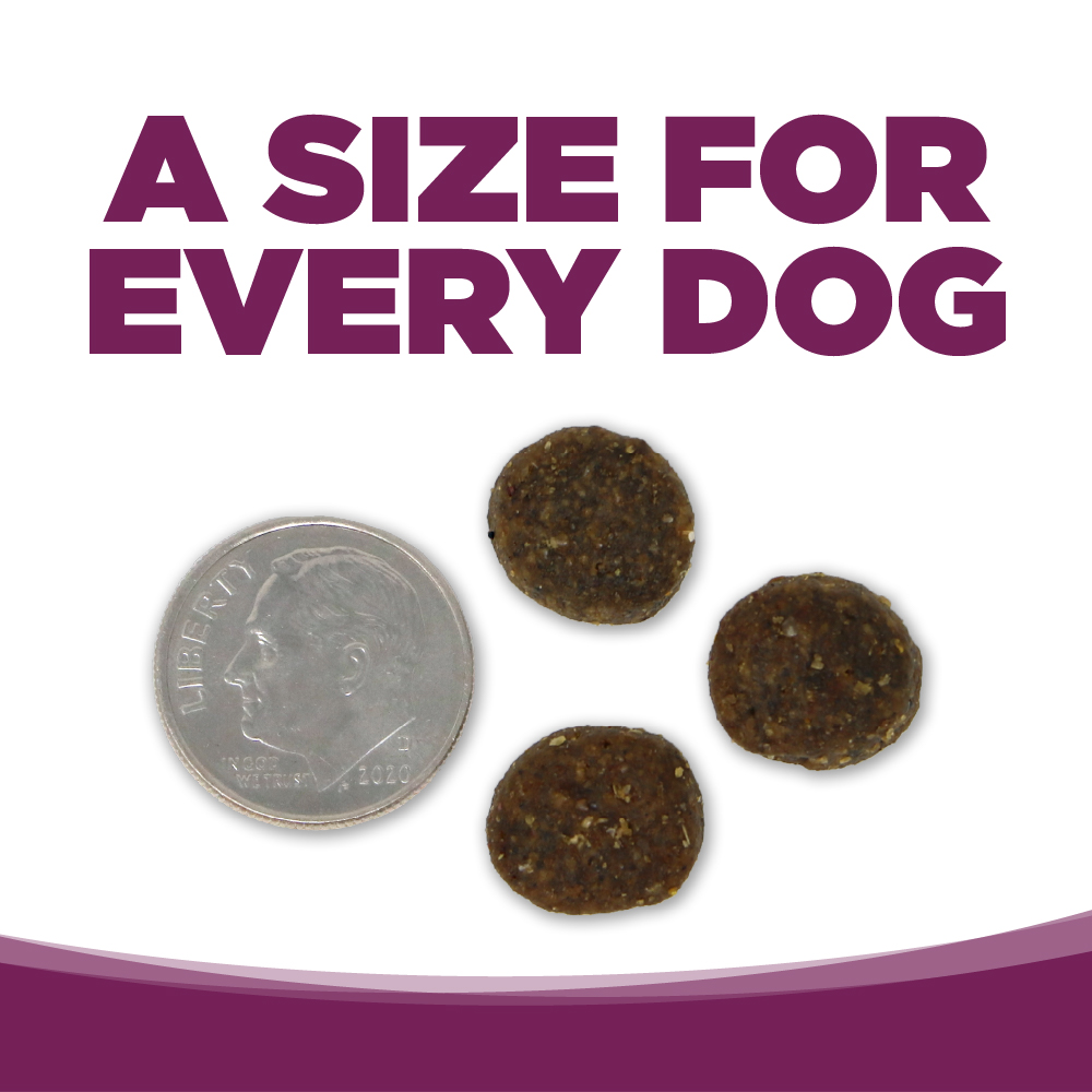 NUTRISOURCE PURE VITA PORK & BLUEBERRY ENTRÉE GRAIN FREE DOG - Imagen 4